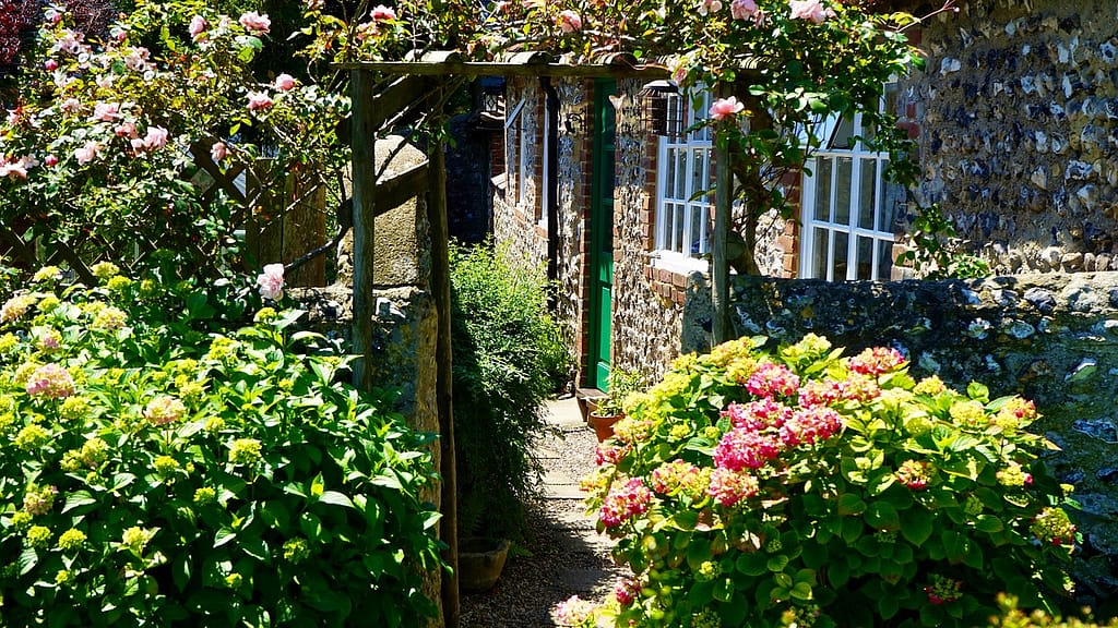 yard