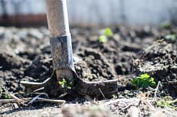 soil